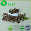 ganoderma lucidum extract capsules immune booster medicines